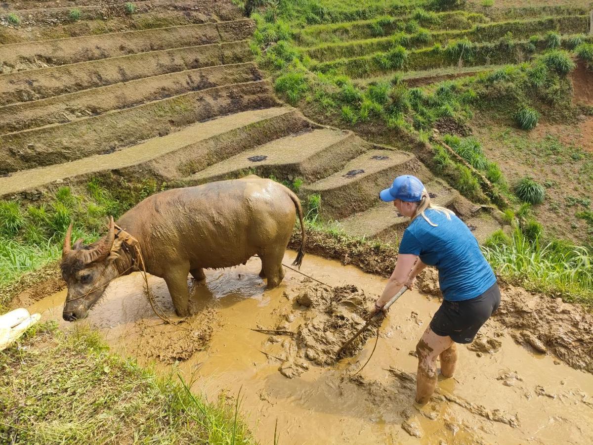 Indigenous Homestay- Trek- Food- Bus Mu Cang Chai 외부 사진