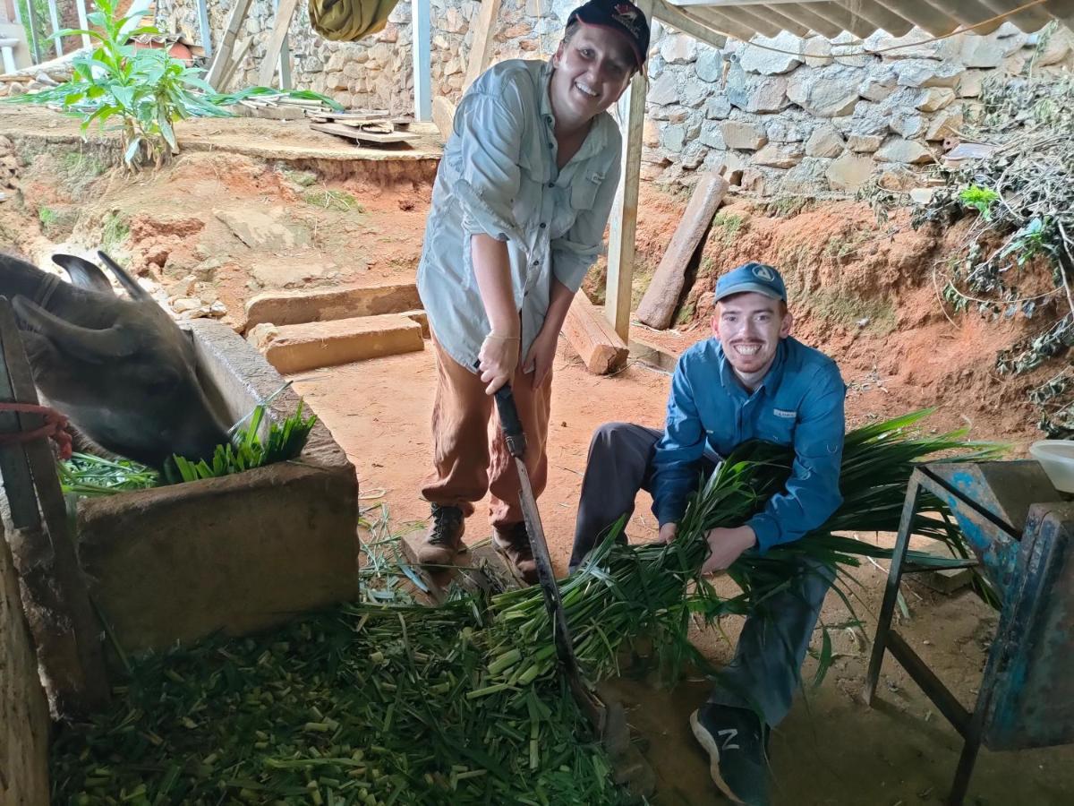 Indigenous Homestay- Trek- Food- Bus Mu Cang Chai 외부 사진