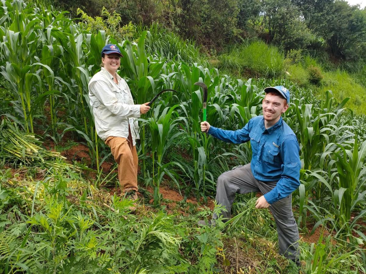 Indigenous Homestay- Trek- Food- Bus Mu Cang Chai 외부 사진