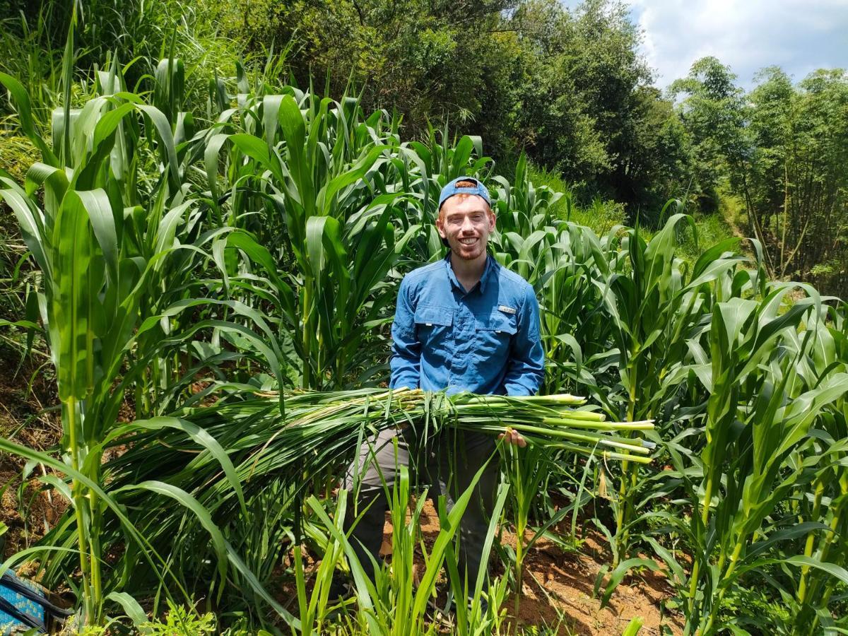 Indigenous Homestay- Trek- Food- Bus Mu Cang Chai 외부 사진