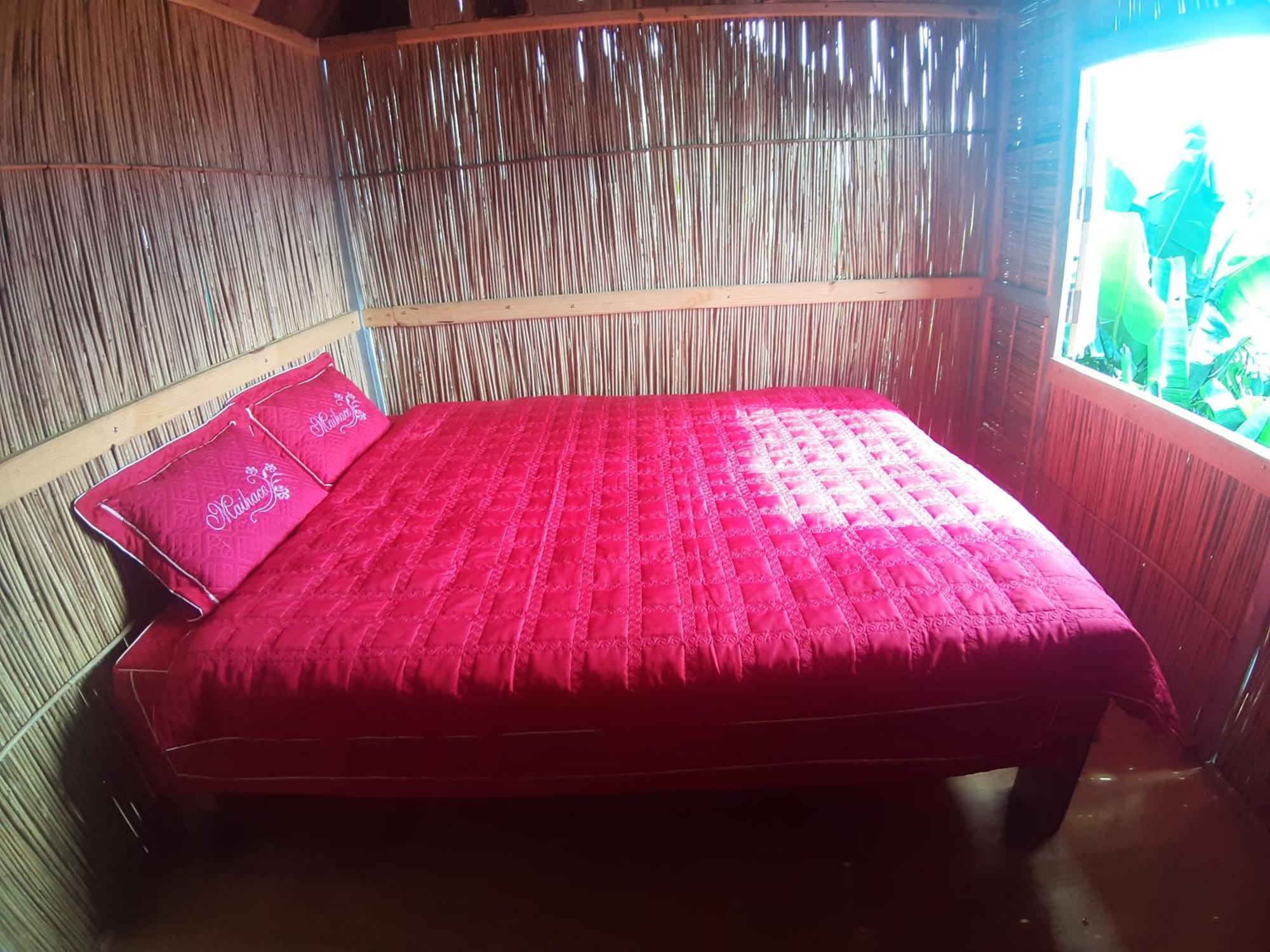 Indigenous Homestay- Trek- Food- Bus Mu Cang Chai 객실 사진