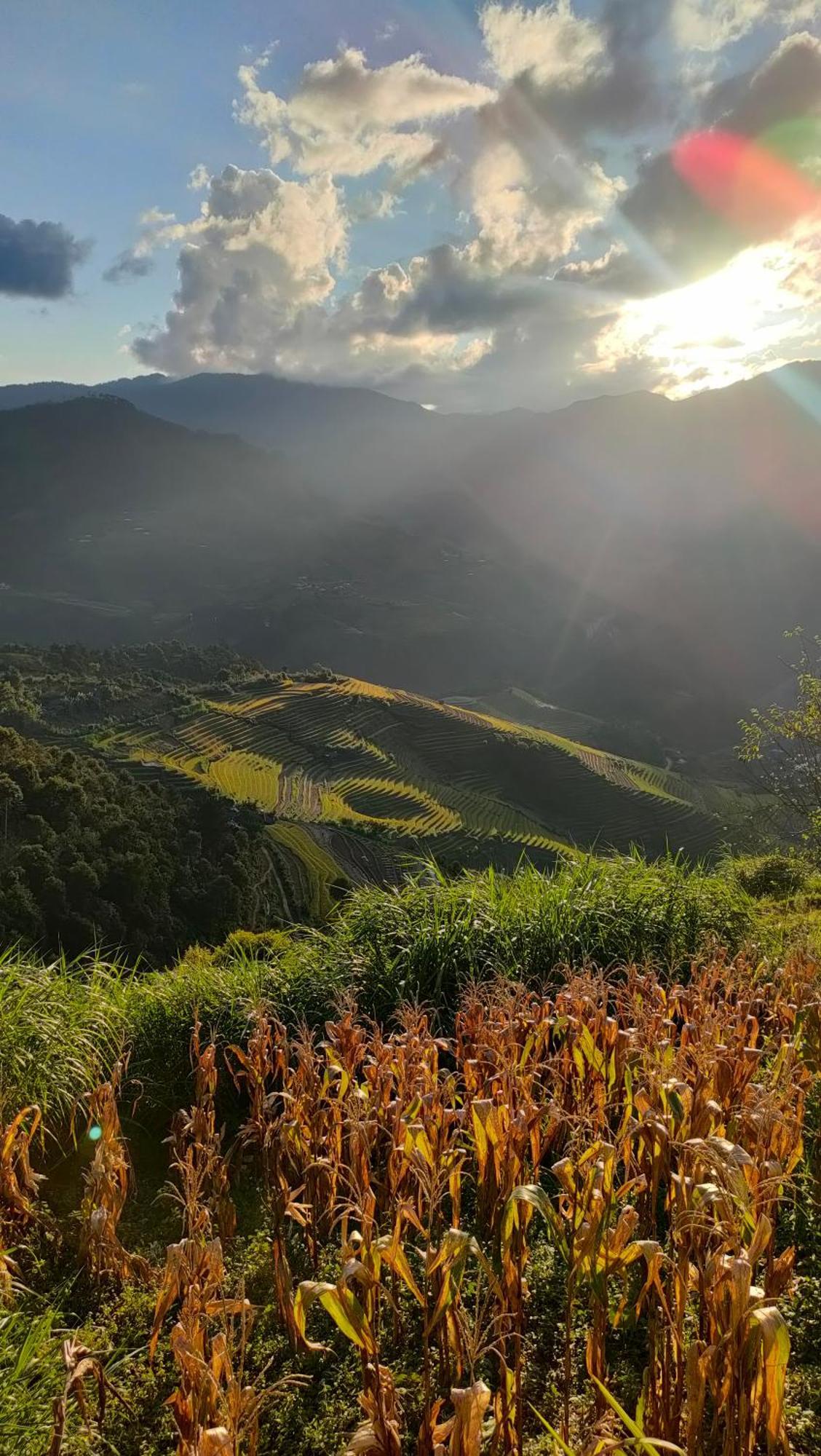 Indigenous Homestay- Trek- Food- Bus Mu Cang Chai 외부 사진