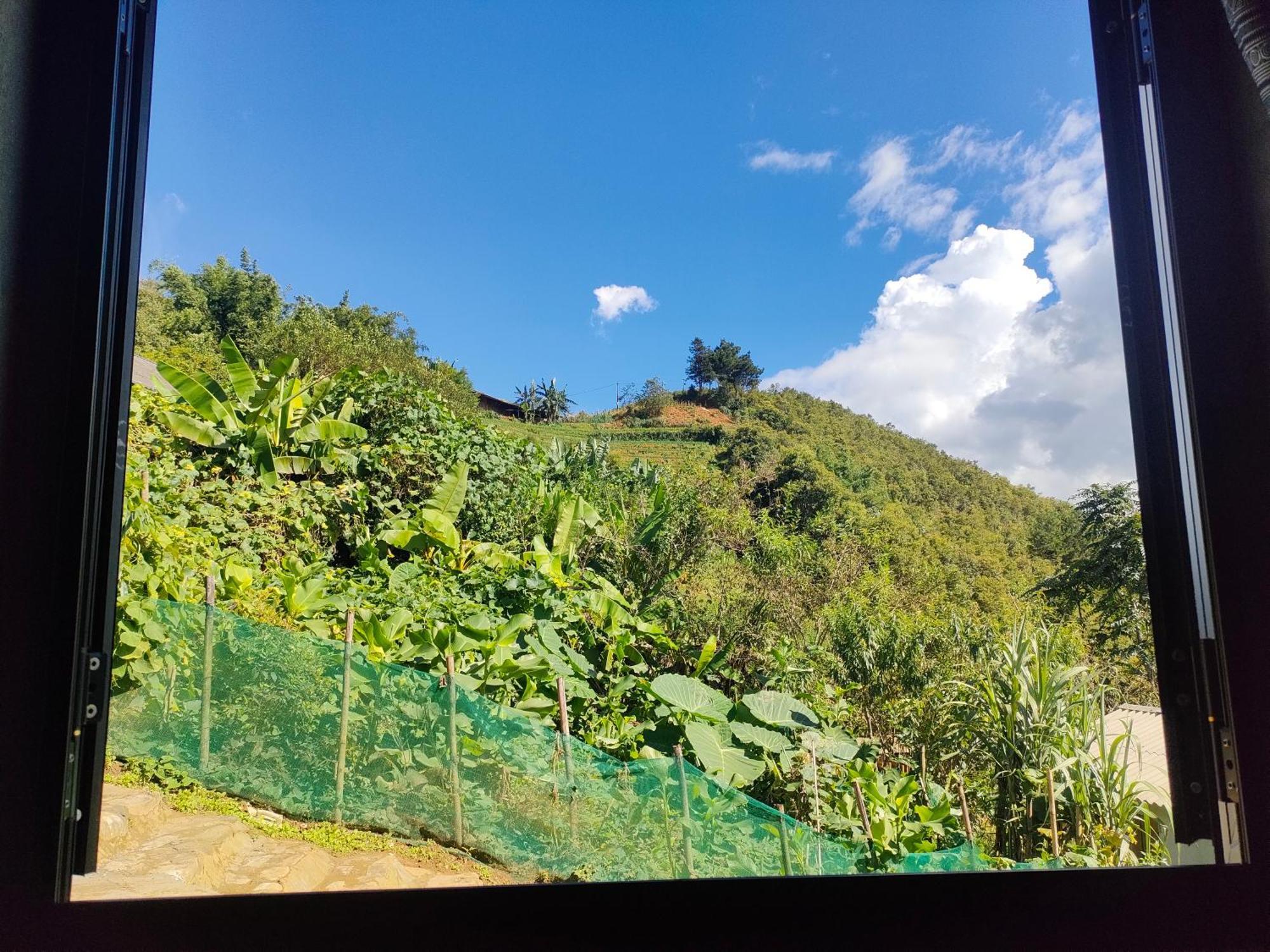 Indigenous Homestay- Trek- Food- Bus Mu Cang Chai 객실 사진