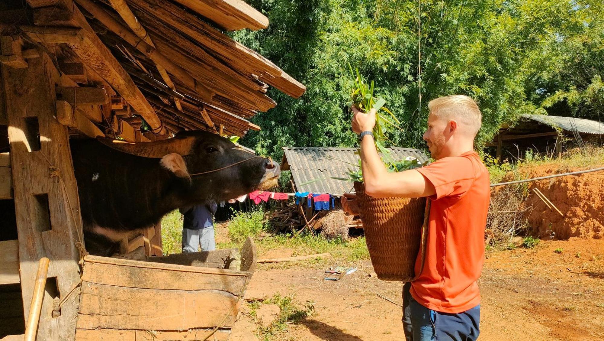 Indigenous Homestay- Trek- Food- Bus Mu Cang Chai 외부 사진